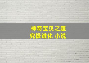 神奇宝贝之超究极进化 小说